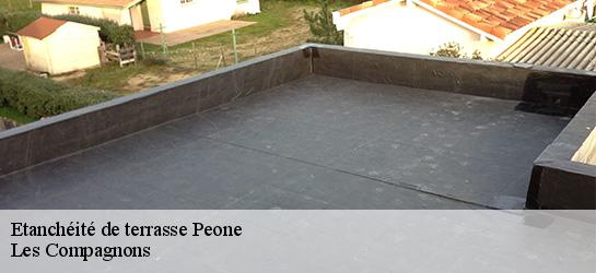 Etanchéité de terrasse  06470