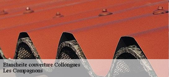 Etancheite couverture  06910