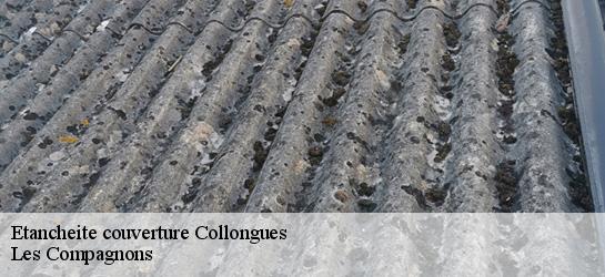 Etancheite couverture  06910