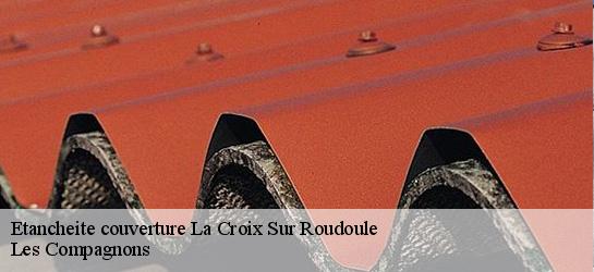 Etancheite couverture  06260