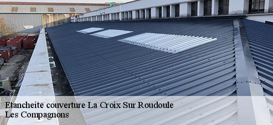 Etancheite couverture  06260