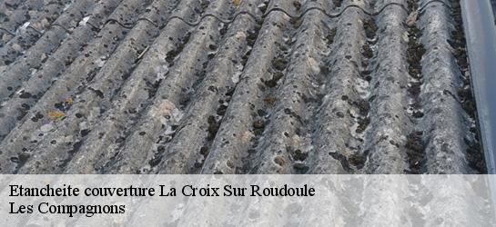 Etancheite couverture  06260