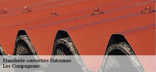 Etancheite couverture  06470