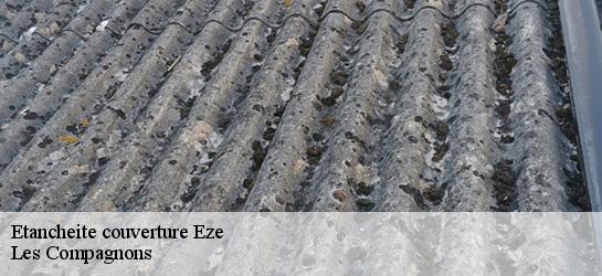 Etancheite couverture 06360