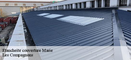 Etancheite couverture 06420