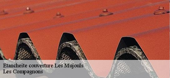 Etancheite couverture  06910