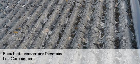 Etancheite couverture 06580