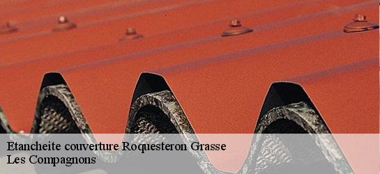 Etancheite couverture  06910