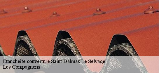 Etancheite couverture  06660