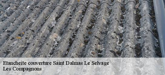 Etancheite couverture  06660