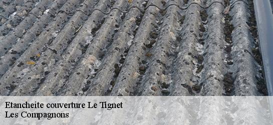 Etancheite couverture  06530
