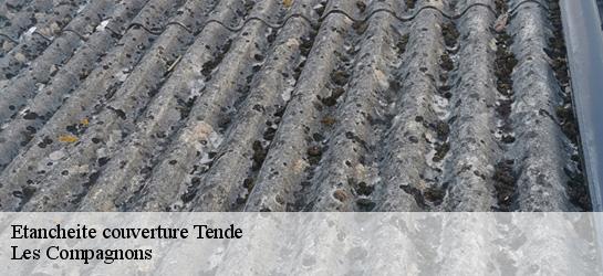 Etancheite couverture  06430