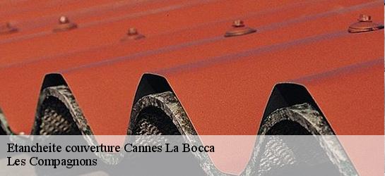 Etancheite couverture 06150