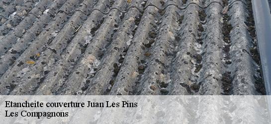 Etancheite couverture  06160