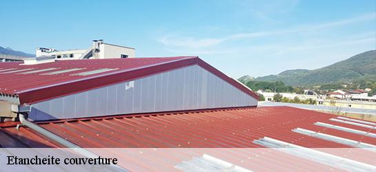 Etancheite couverture  06600