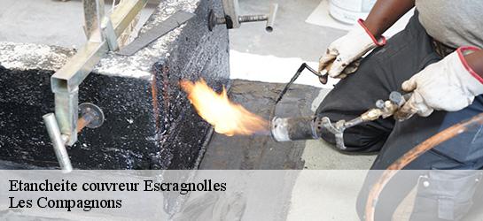 Etancheite couvreur  06460