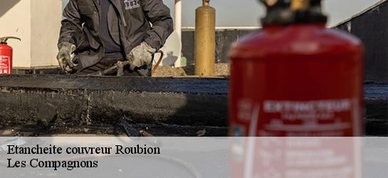 Etancheite couvreur  06420