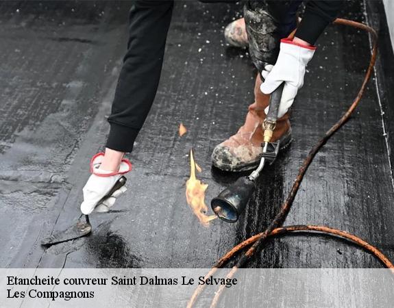 Etancheite couvreur saint-dalmas-le-selvage-06660 Les Compagnons
