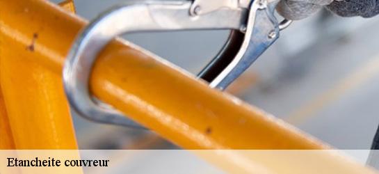 Etancheite couvreur  06540