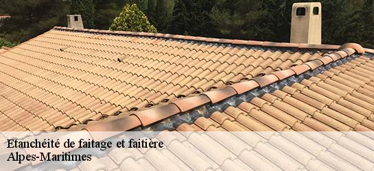 Etanchéité de faitage et faitière Alpes-Maritimes 