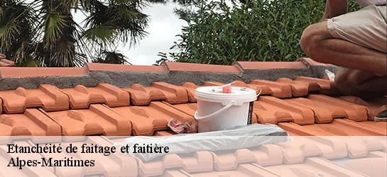 Etanchéité de faitage et faitière Alpes-Maritimes 