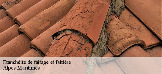 Etanchéité de faitage et faitière Alpes-Maritimes 