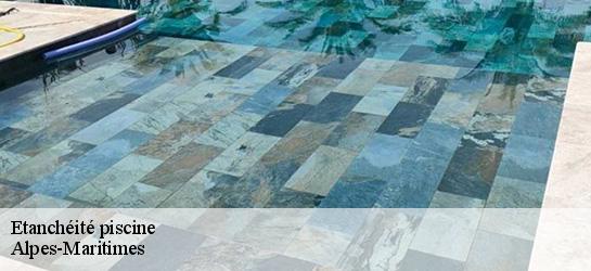 Etanchéité piscine Alpes-Maritimes