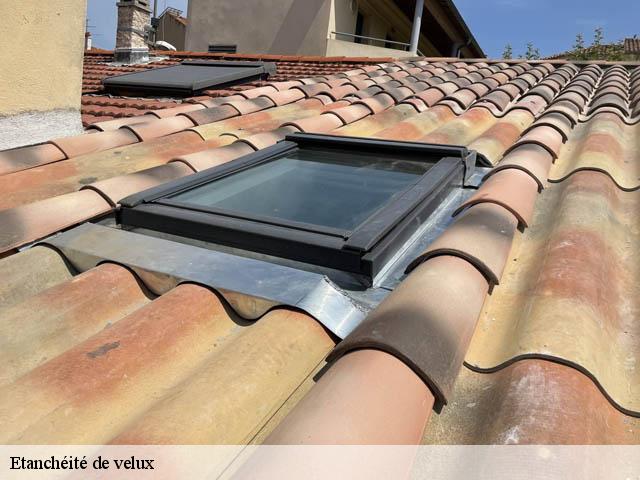 Etanchéité de velux Alpes-Maritimes 