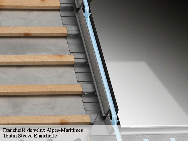 Etanchéité de velux Alpes-Maritimes 