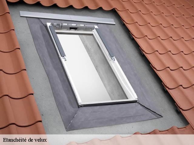 Etanchéité de velux Alpes-Maritimes 