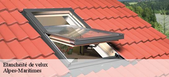 Etanchéité de velux Alpes-Maritimes