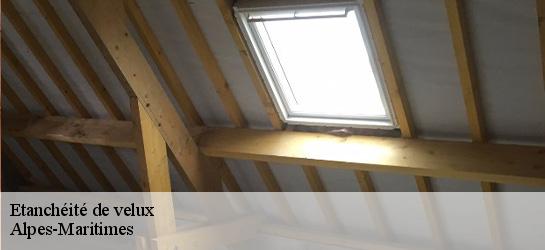 Etanchéité de velux Alpes-Maritimes
