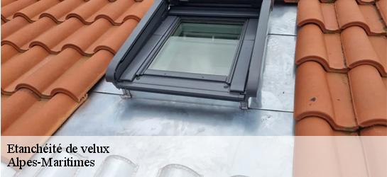 Etanchéité de velux Alpes-Maritimes