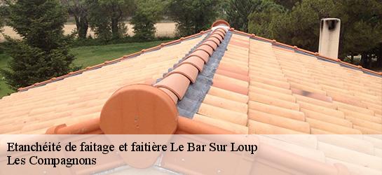 Etanchéité de faitage et faitière  06620