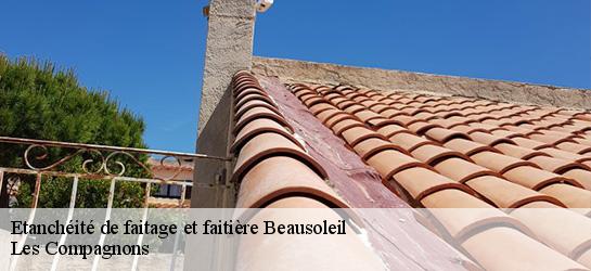 Etanchéité de faitage et faitière  06240
