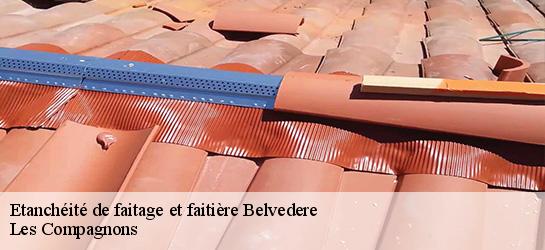 Etanchéité de faitage et faitière  06450