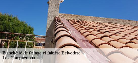 Etanchéité de faitage et faitière  06450