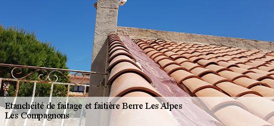 Etanchéité de faitage et faitière 06390