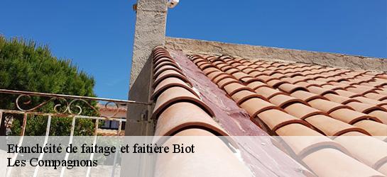 Etanchéité de faitage et faitière 06410