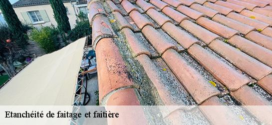 Etanchéité de faitage et faitière  06830