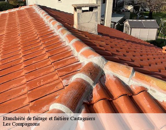 Etanchéité de faitage et faitière  castagniers-06670 Les Compagnons 