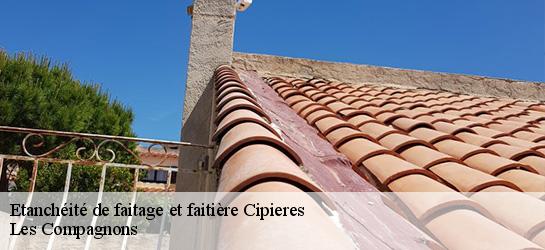 Etanchéité de faitage et faitière  06620