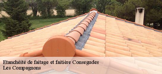 Etanchéité de faitage et faitière  06510