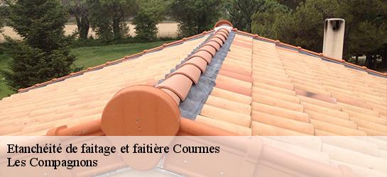 Etanchéité de faitage et faitière  06620