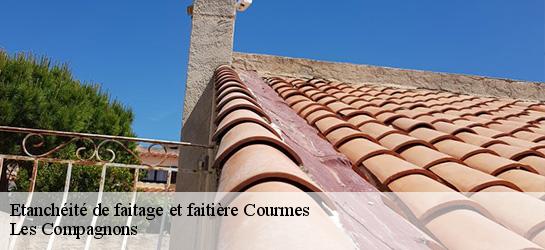 Etanchéité de faitage et faitière  06620