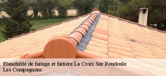 Etanchéité de faitage et faitière  06260