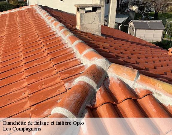 Etanchéité de faitage et faitière  opio-06650 Les Compagnons 