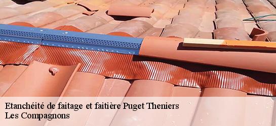 Etanchéité de faitage et faitière 06260