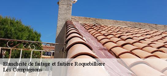 Etanchéité de faitage et faitière  06450