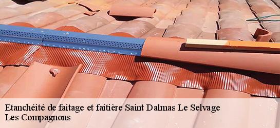 Etanchéité de faitage et faitière 06660